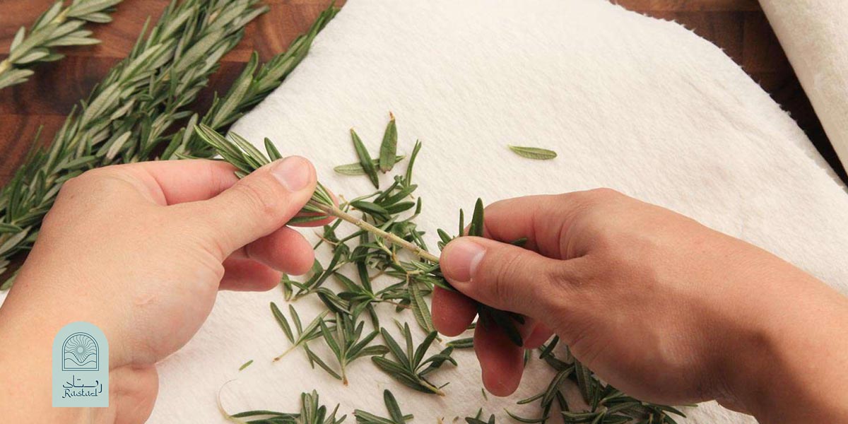 خواص سبزی خشک برکی و ترکیبی