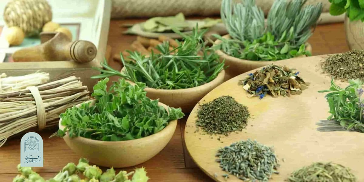 بهترین روش نگهداری سبزی