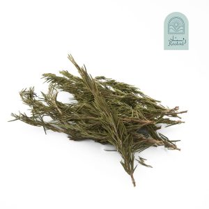 خرید شاخه رزماری