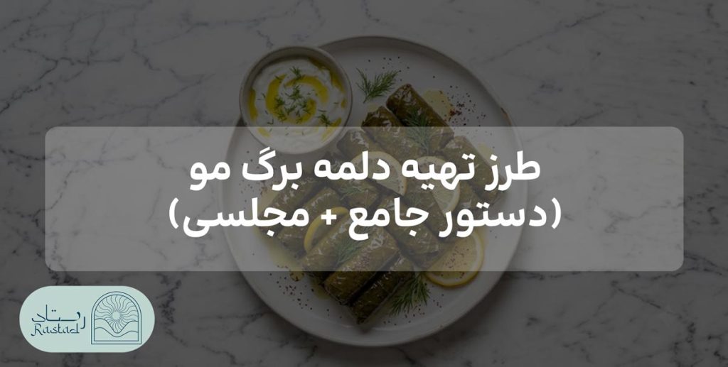 طرز تهیه دلمه برگ مو
