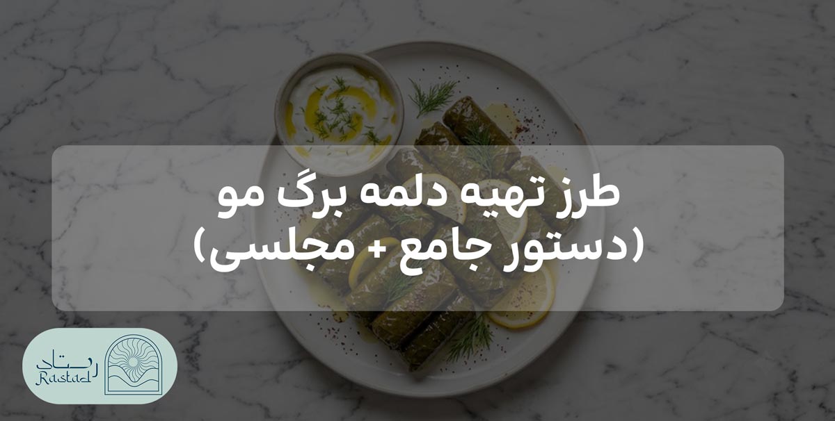 طرز تهیه دلمه برگ مو
